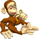 monkey_12