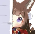 AmagiPeek
