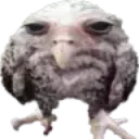 WetOwl