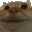 catyes