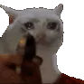 h26