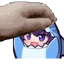 Sharkpet_hq