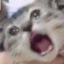 SCREAMMMMMM SCREAMMMMMM