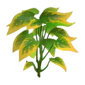 Sweet_Leaf