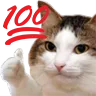 SH_100