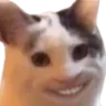 CatSmile CatSmile
