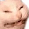 feee
