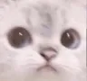 katburst