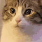 am