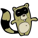 APRacoon