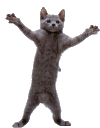 emoji_173
