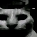 Cat Evil CatEvil Discord Emoji