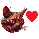 darkmattertigulove