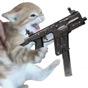 fennecat