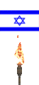 AnimatedBurningIsraeliFlag Discord Emoji