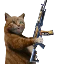ak117cat