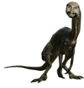 trooDON