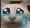 sadcat