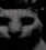 horror horror