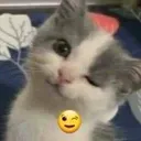 cWink