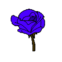 roseviolet