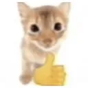 cThumbsup