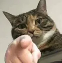 cYOU