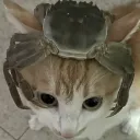 mindcontrol
