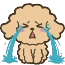 cry_pup
