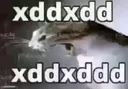 xdxdxdxd