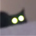 catt_eyes