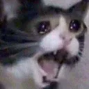 uaaa