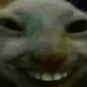 xdd