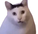 cathuh