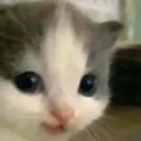 hehe