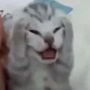 AAAAAAAAA
