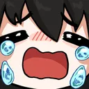 ZZcry