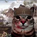 war_cat