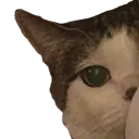 PeekingSage