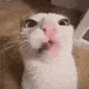 crunch crunch