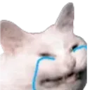 sadcat Discord Emoji