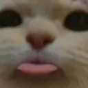 hehe