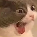 screm