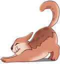StretchingChapaa