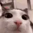 plink