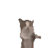 :hapii: