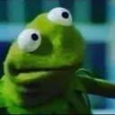 wtfkermit