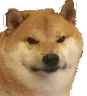 1186837606097494026.webp