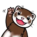 DD_FerretWave