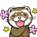 DD_FerretCute